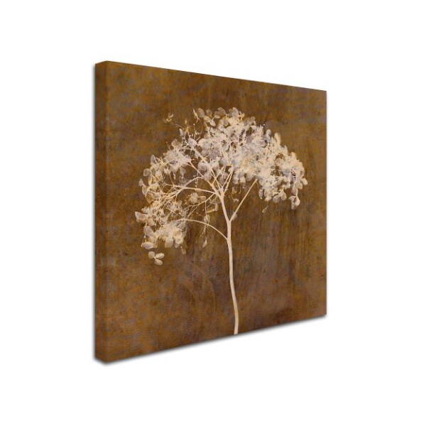 Cora Niele 'Hortensia Silhouette Bronze' Canvas Art,35x35